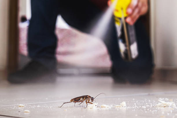 Best Residential Pest Control  in Waupaca, WI